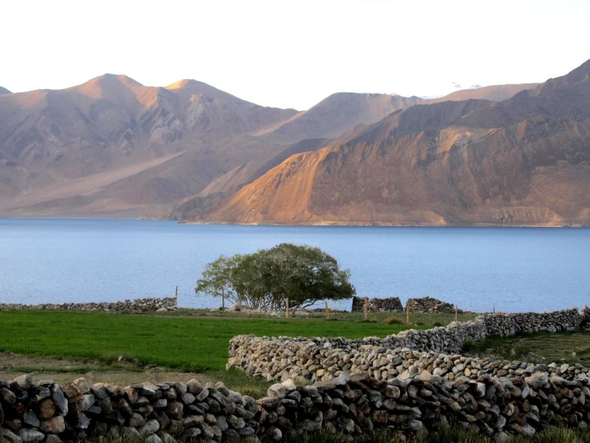 Pangong Delight Camps And Cottages Spangmik Dış mekan fotoğraf