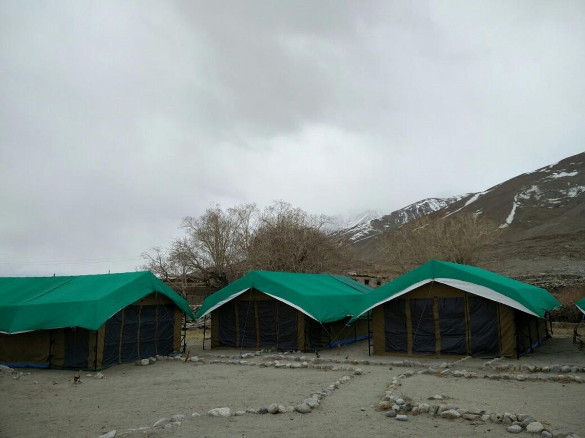 Pangong Delight Camps And Cottages Spangmik Dış mekan fotoğraf